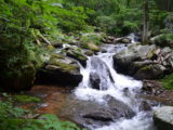 The river along the trail to Anna Ruby Falls