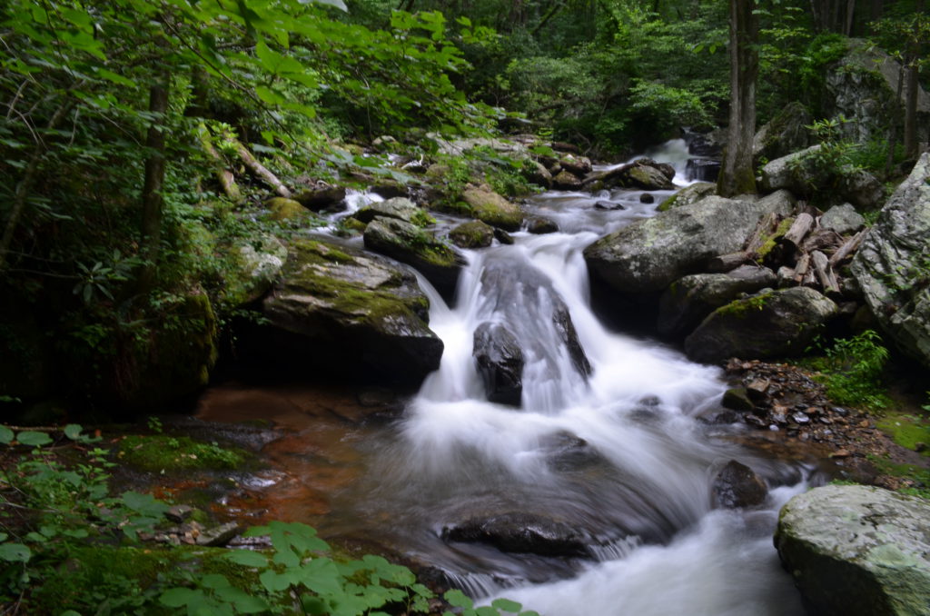 The river along the trail to Anna Ruby Falls