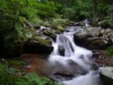 The river along the trail to Anna Ruby Falls