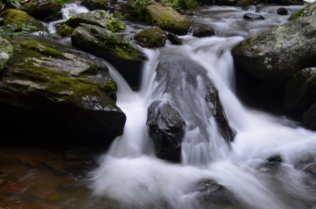 The river along the trail to Anna Ruby Falls