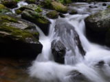 The river along the trail to Anna Ruby Falls