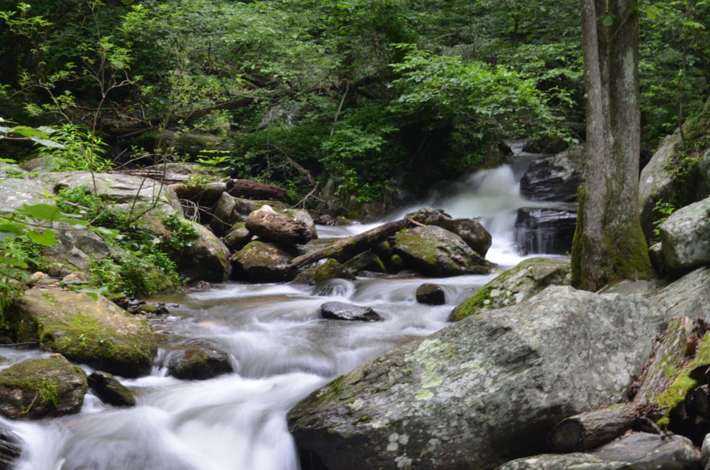 The river along the trail to Anna Ruby Falls