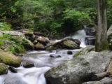 The river along the trail to Anna Ruby Falls