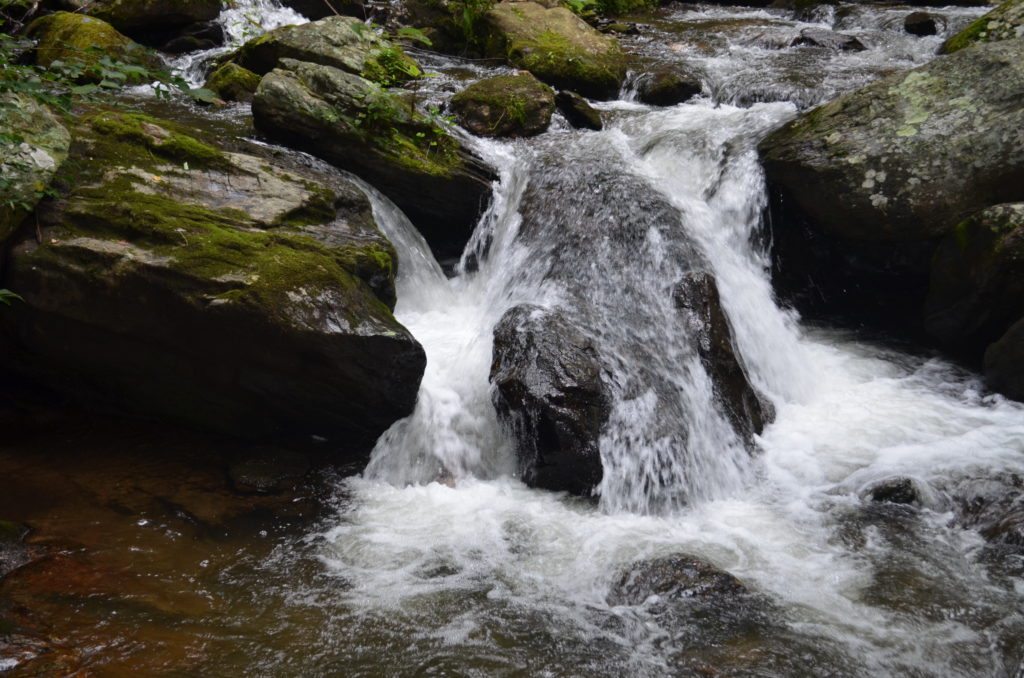 The river along the trail to Anna Ruby Falls