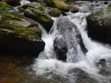 The river along the trail to Anna Ruby Falls