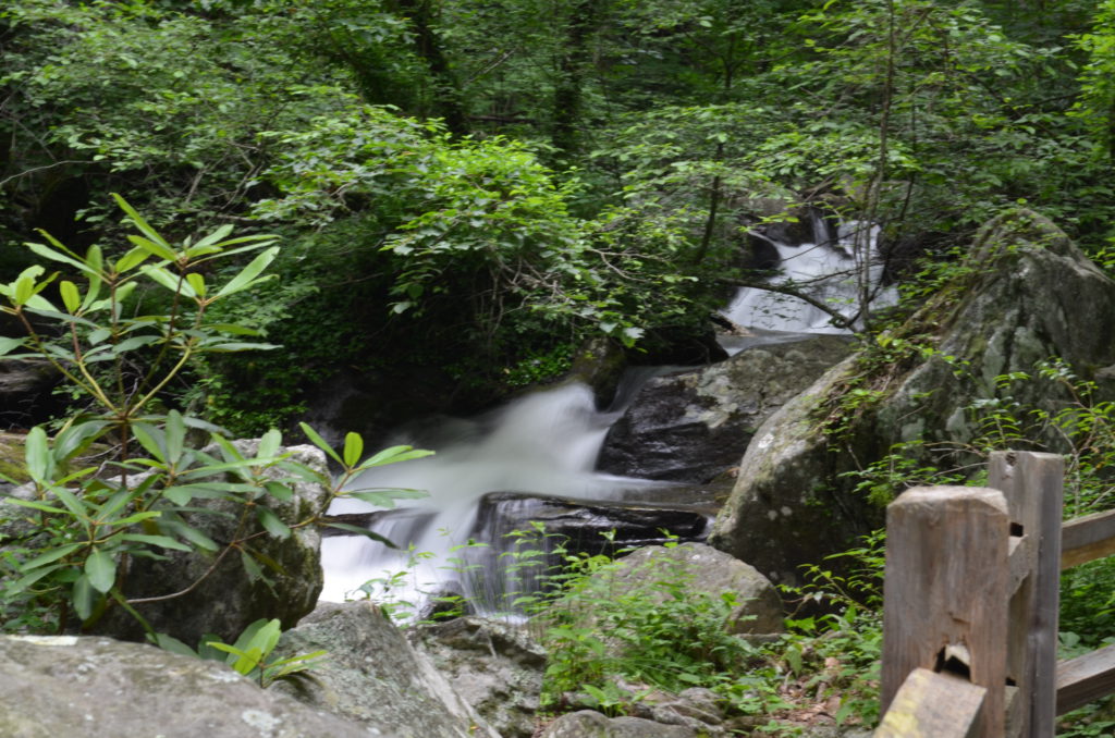 The river along the trail to Anna Ruby Falls