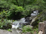 The river along the trail to Anna Ruby Falls