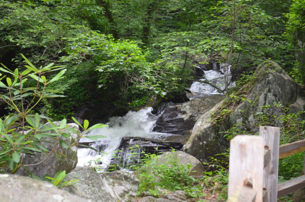 The river along the trail to Anna Ruby Falls