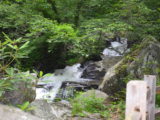 The river along the trail to Anna Ruby Falls