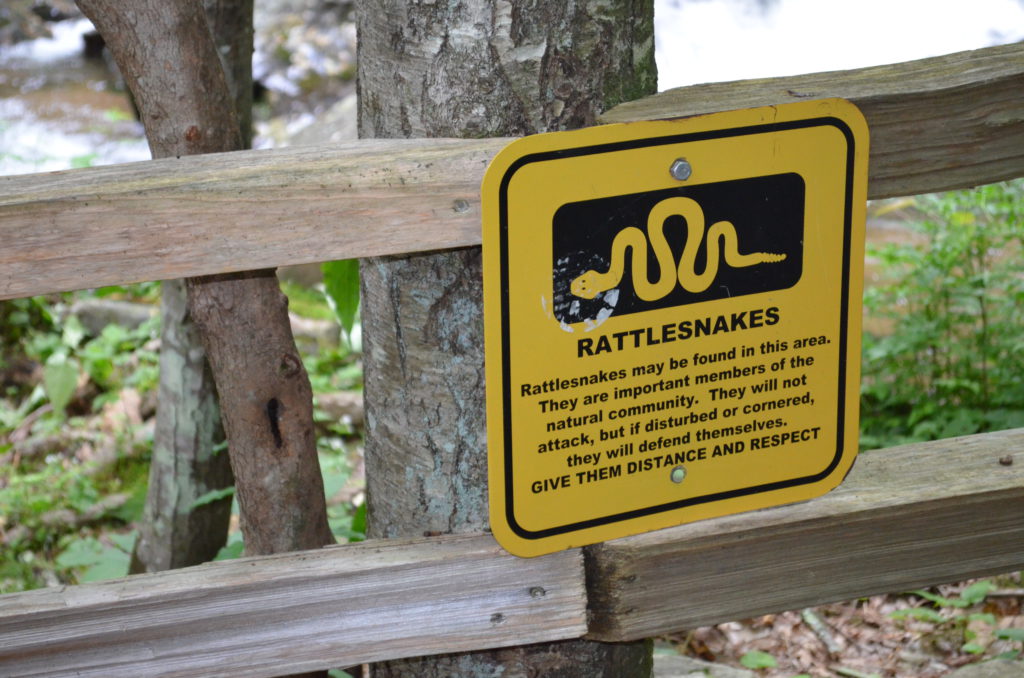 Rattlesnake Warning