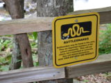 Rattlesnake Warning