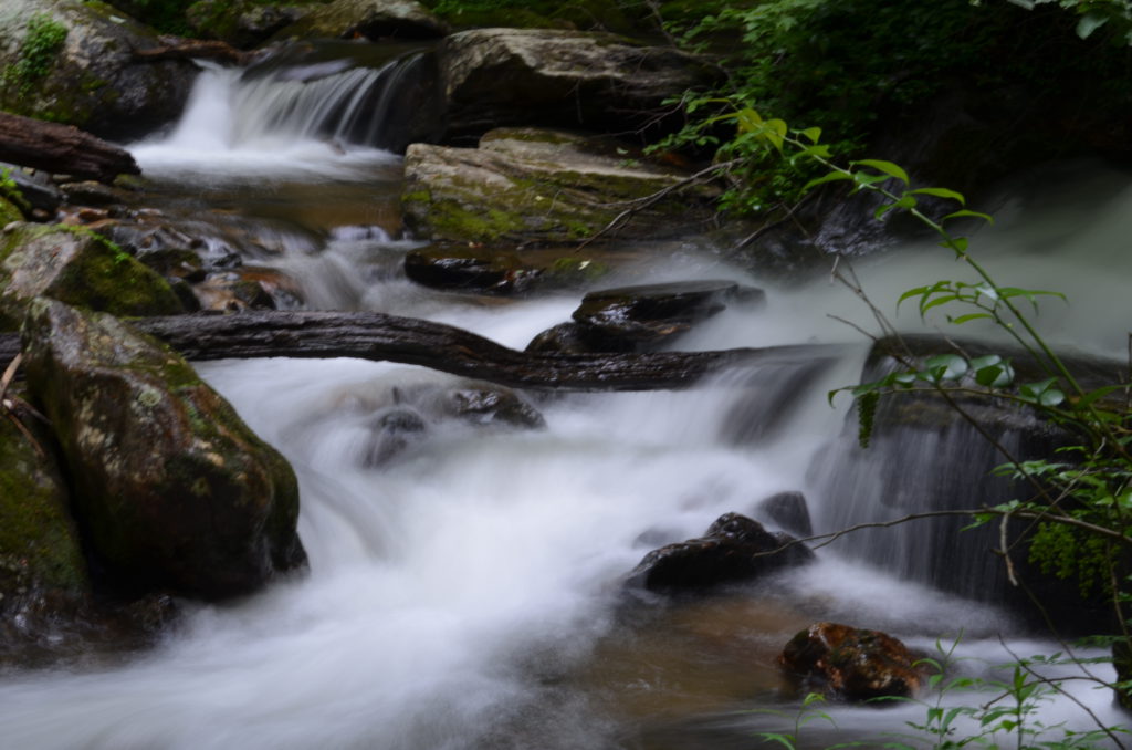 The river along the trail to Anna Ruby Falls