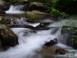 The river along the trail to Anna Ruby Falls