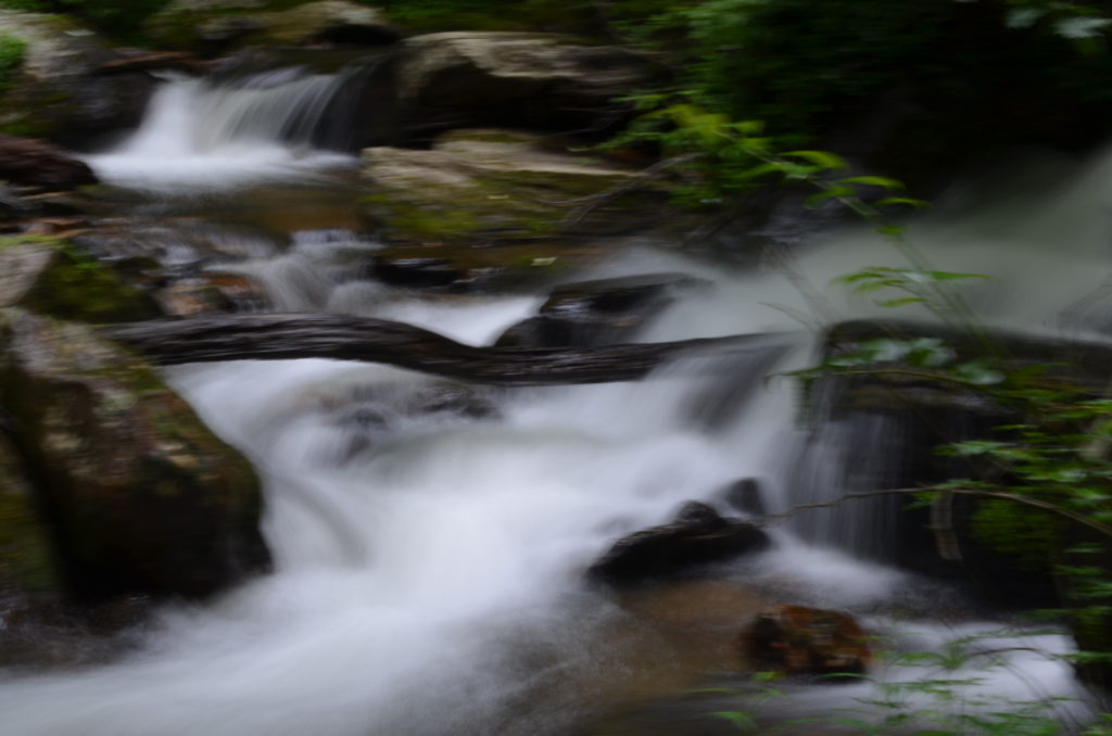 The river along the trail to Anna Ruby Falls