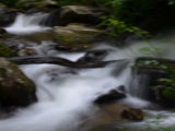 The river along the trail to Anna Ruby Falls