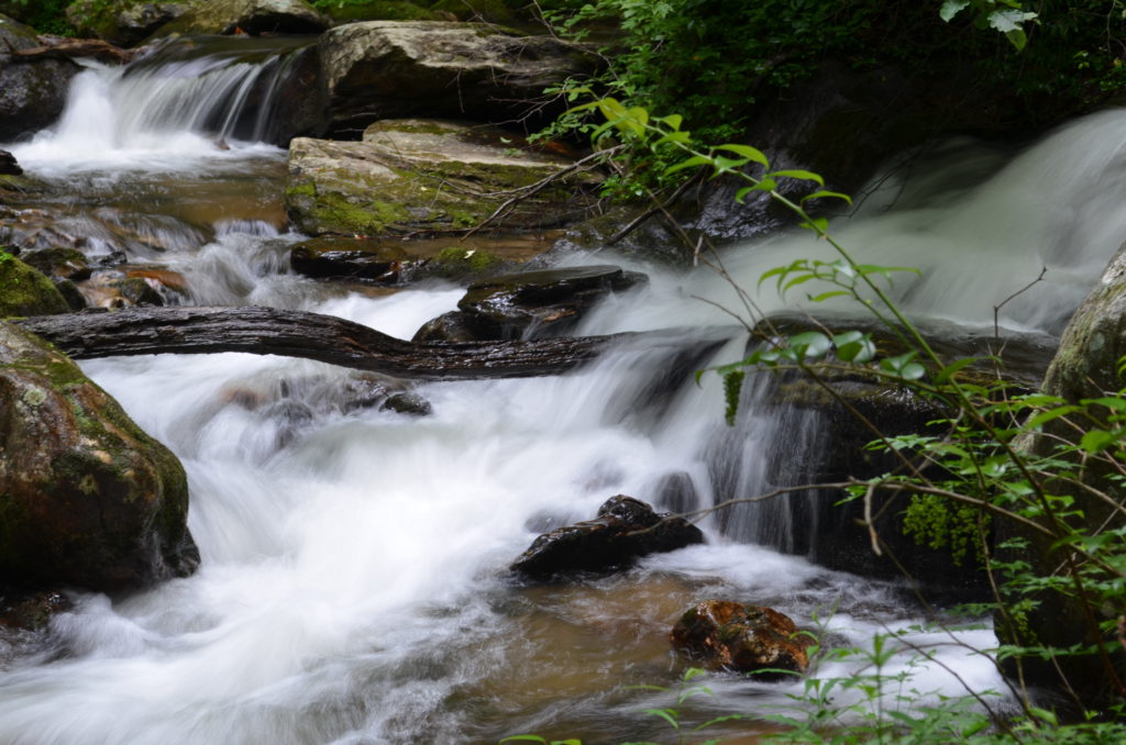 The river along the trail to Anna Ruby Falls