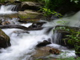 The river along the trail to Anna Ruby Falls