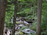 The river along the trail to Anna Ruby Falls