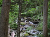 The river along the trail to Anna Ruby Falls