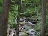 The river along the trail to Anna Ruby Falls