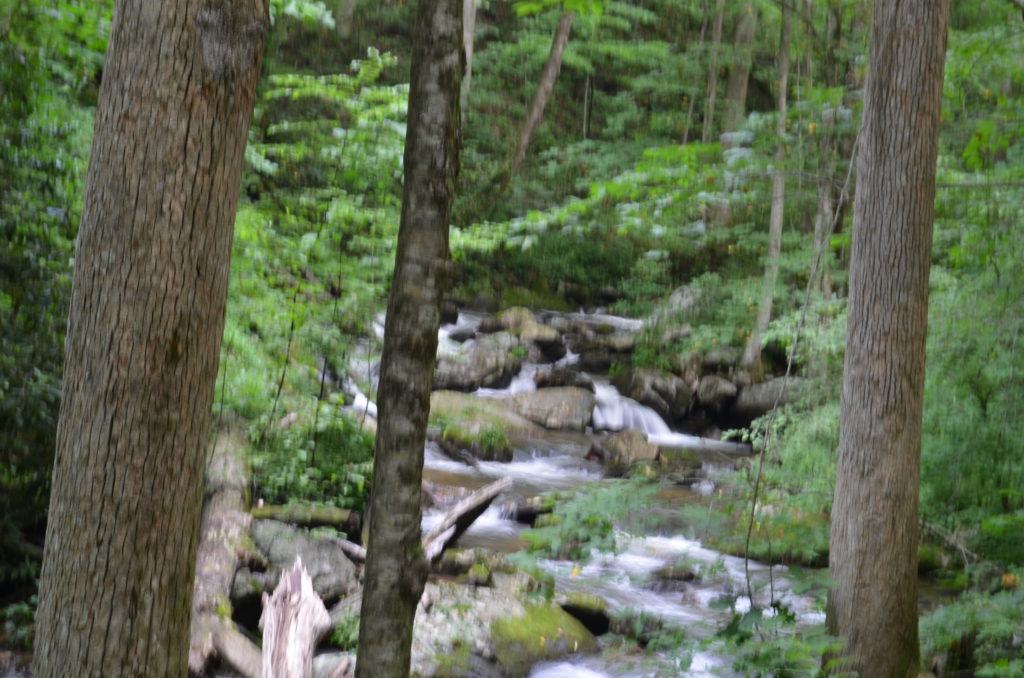 The river along the trail to Anna Ruby Falls