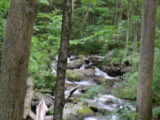 The river along the trail to Anna Ruby Falls