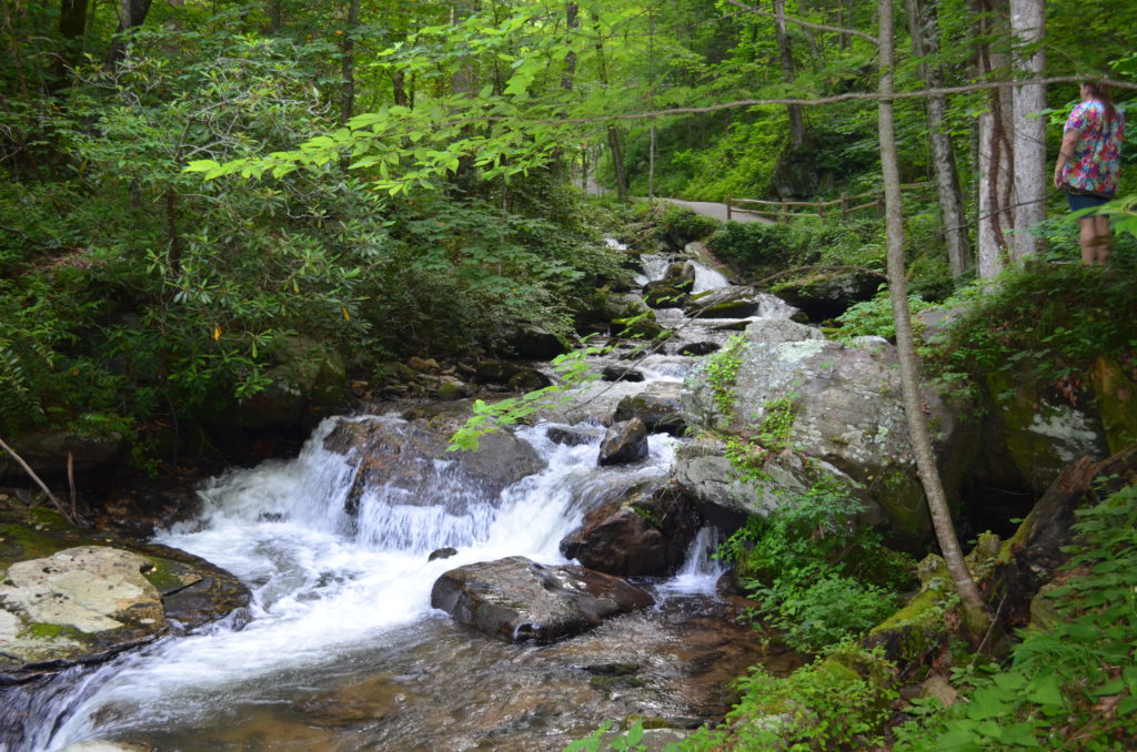 The river along the trail to Anna Ruby Falls