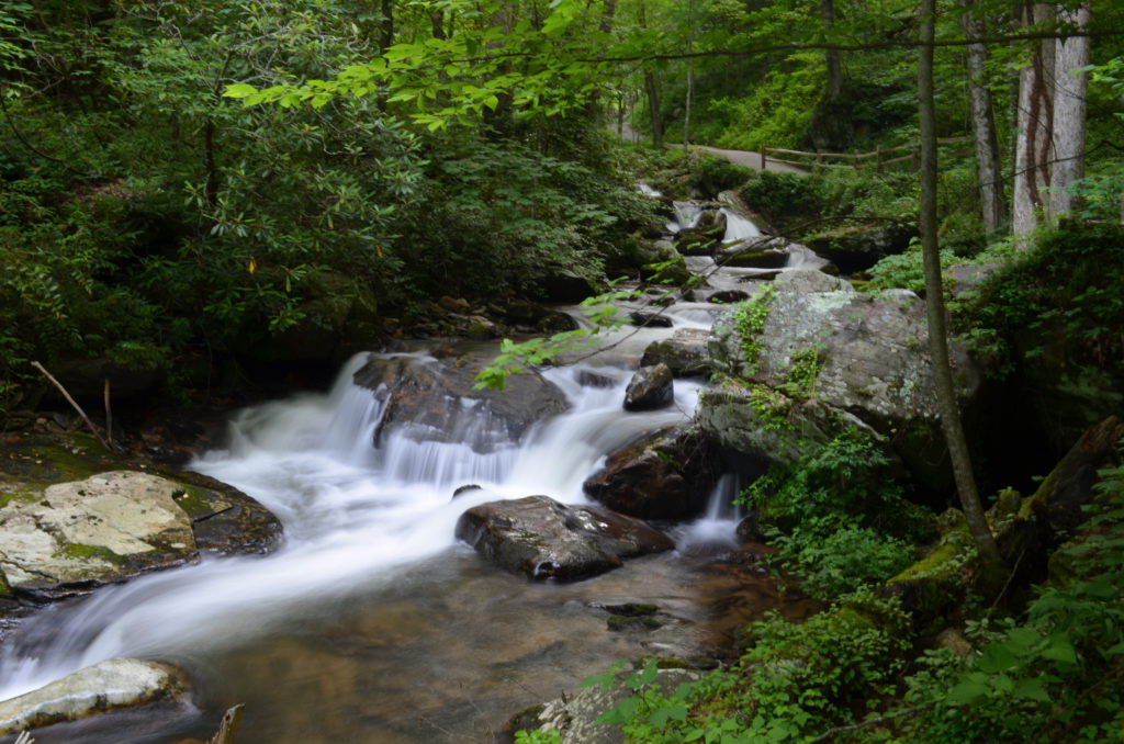 The river along the trail to Anna Ruby Falls