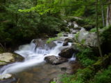 The river along the trail to Anna Ruby Falls