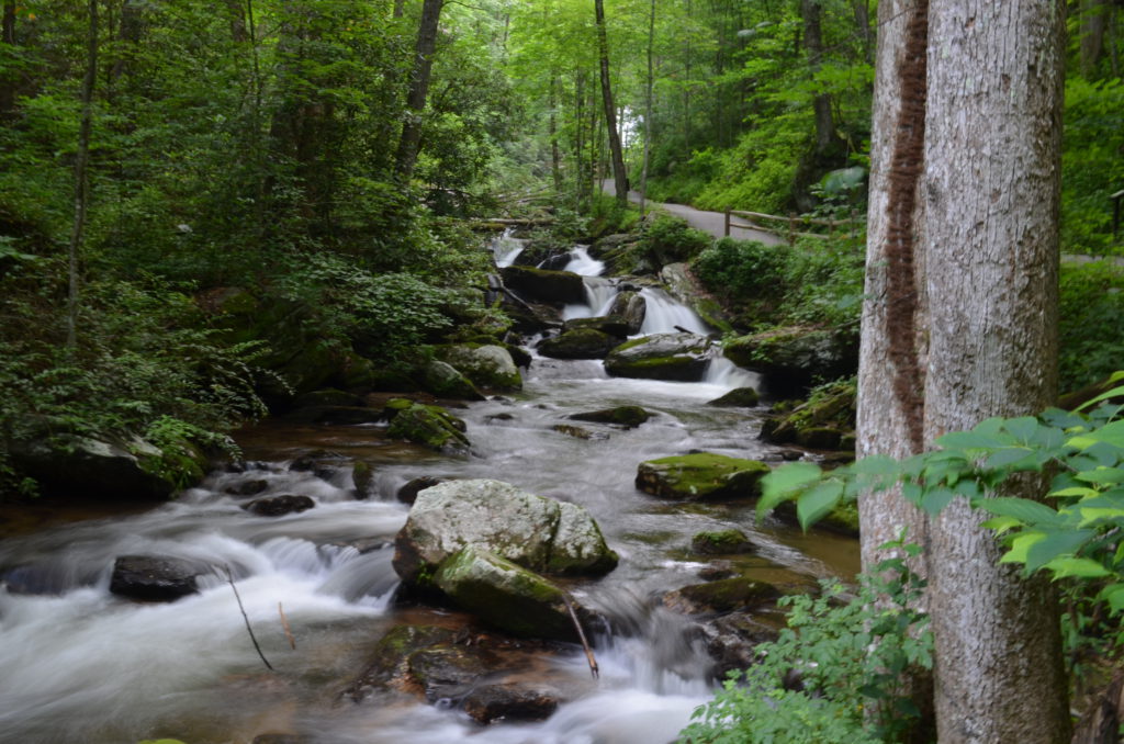 The river along the trail to Anna Ruby Falls