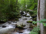 The river along the trail to Anna Ruby Falls