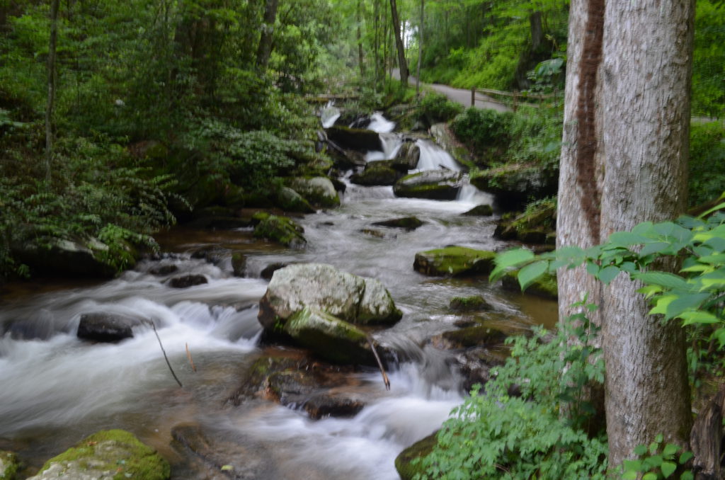 The river along the trail to Anna Ruby Falls