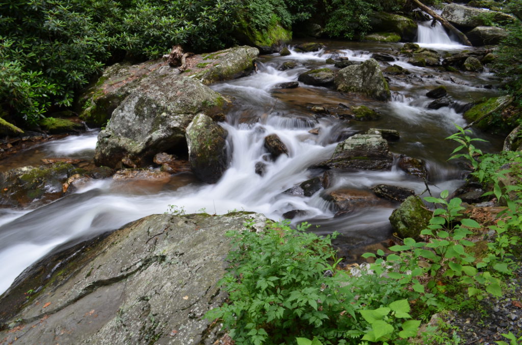 The river along the trail to Anna Ruby Falls