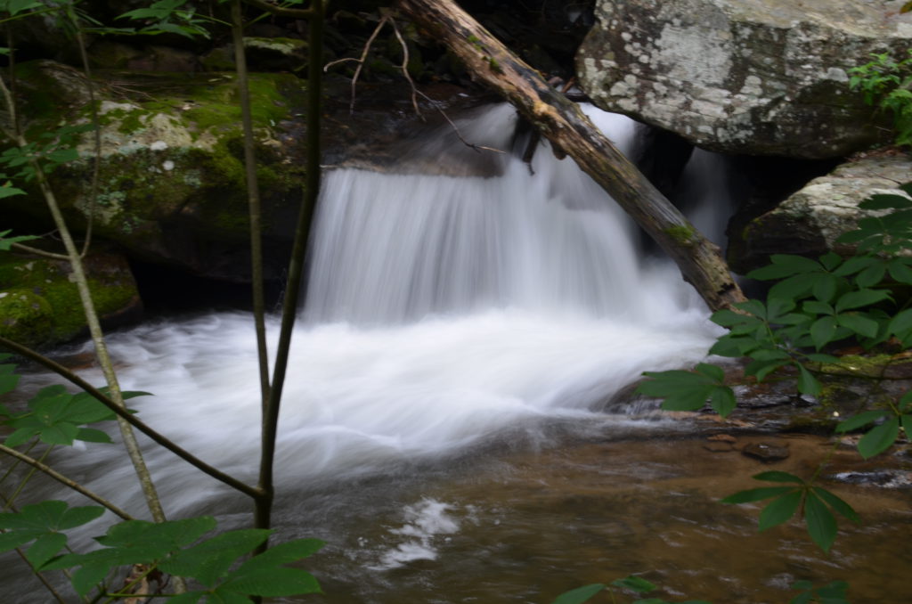 The river along the trail to Anna Ruby Falls