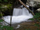 The river along the trail to Anna Ruby Falls