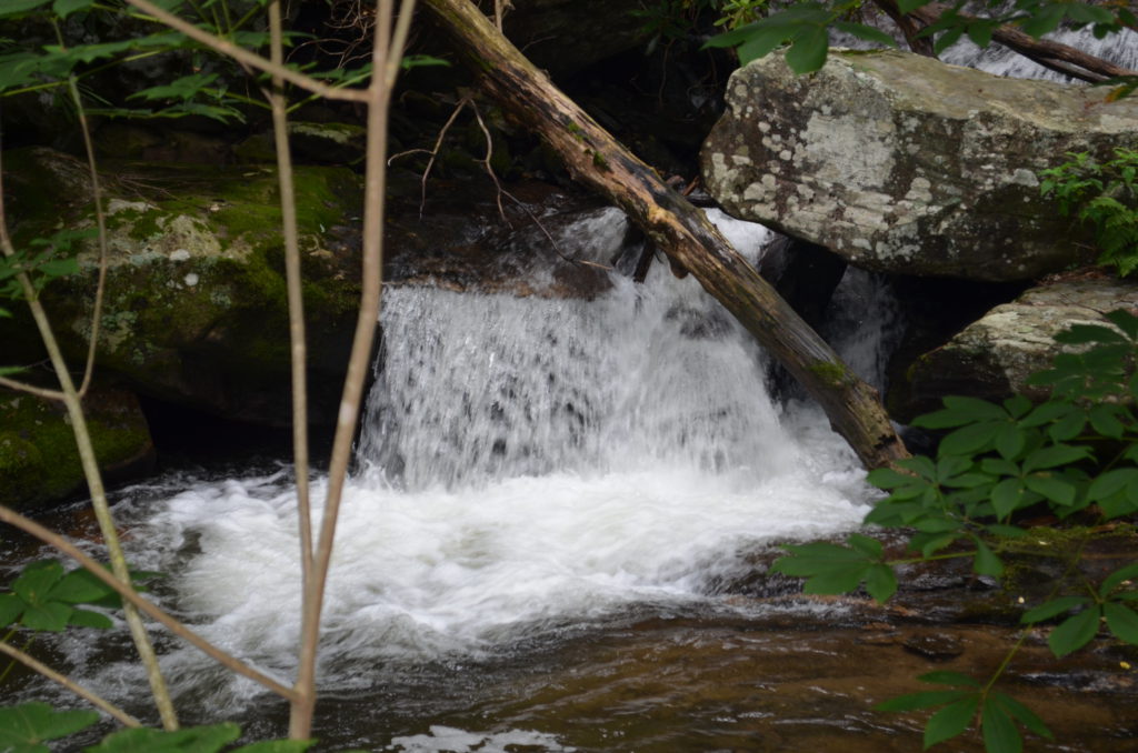 The river along the trail to Anna Ruby Falls