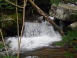 The river along the trail to Anna Ruby Falls