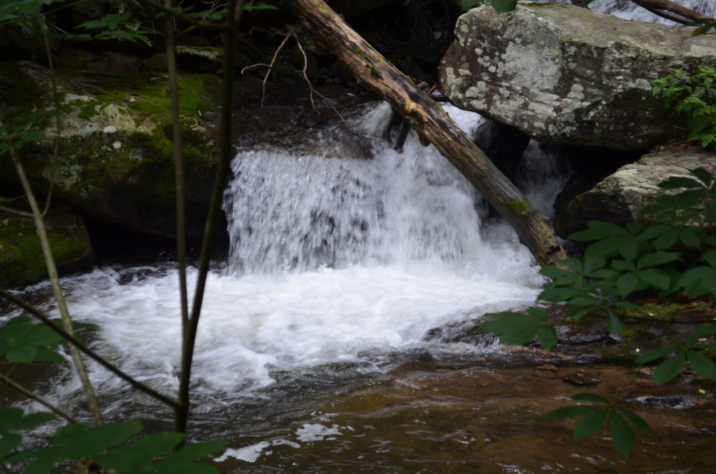 The river along the trail to Anna Ruby Falls