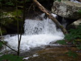 The river along the trail to Anna Ruby Falls