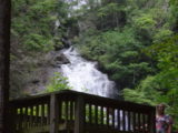 First glimpse of the Falls