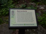 Majestic Anna Ruby Falls Sign