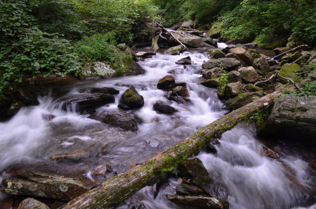 The river along the trail to Anna Ruby Falls