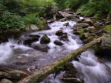 The river along the trail to Anna Ruby Falls