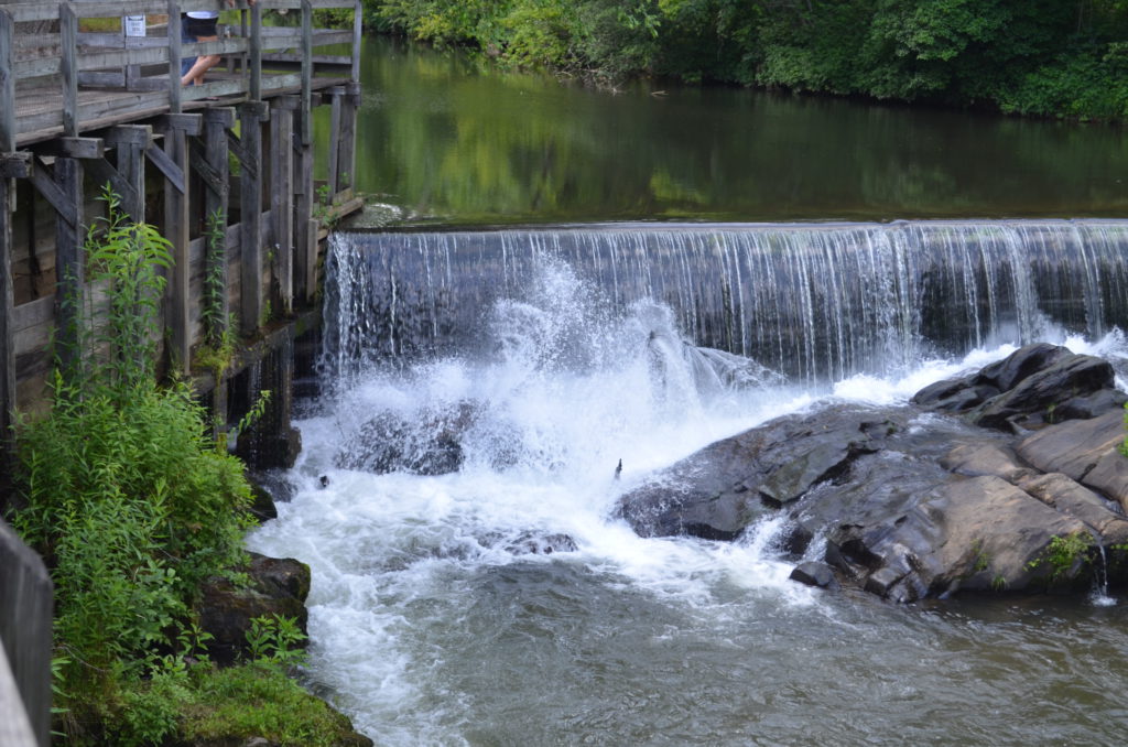 Waterfall over Grist Mill Dam