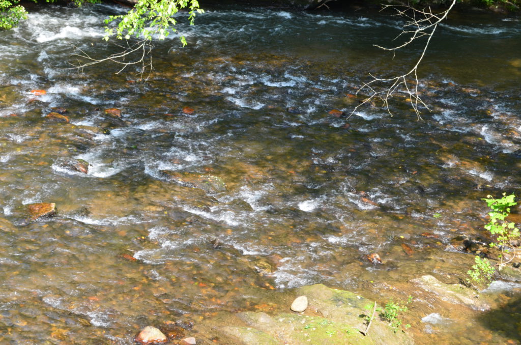 Waterfall over Grist Mill Dam