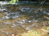 Waterfall over Grist Mill Dam