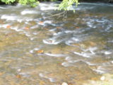 Waterfall over Grist Mill Dam