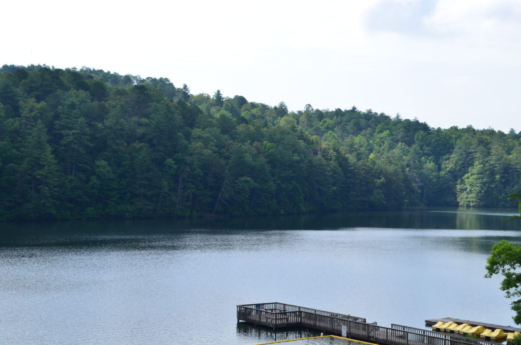 "Beach" at the Unicoi Lake