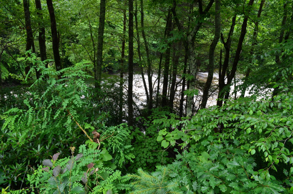 Cullasaja River