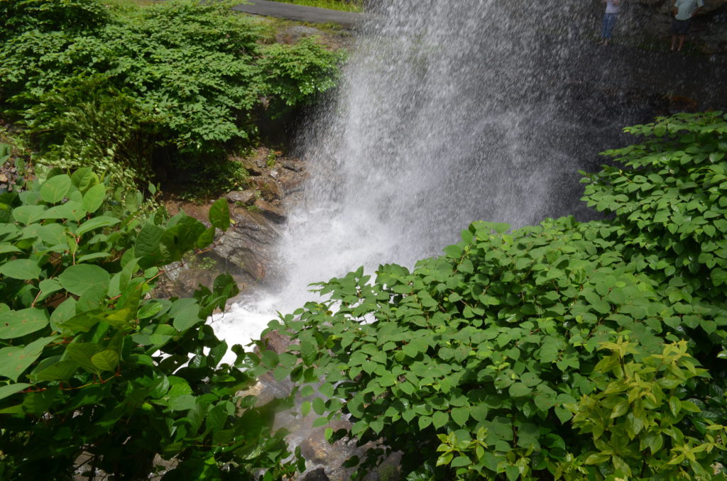 Bridal Veil Falls